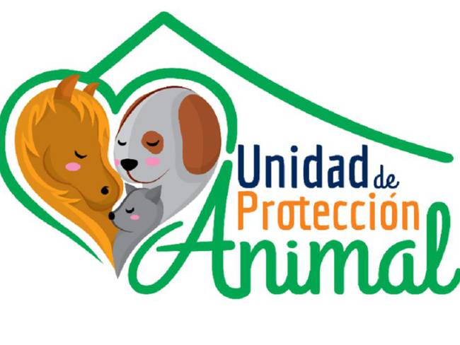 Adopción de animales ¿Qué debo hacer si quiero adoptar una mascota en  Manizales? : ¿Qué debo hacer si quiero adoptar una mascota en Manizales?