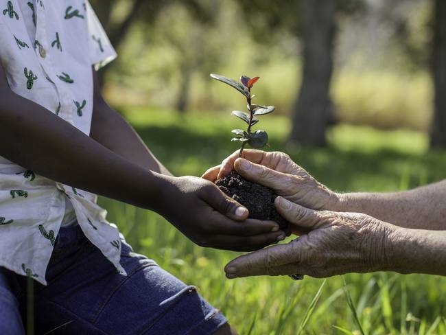 Saberes ancestrales para el agro transmiten a jóvenes en el Chocó