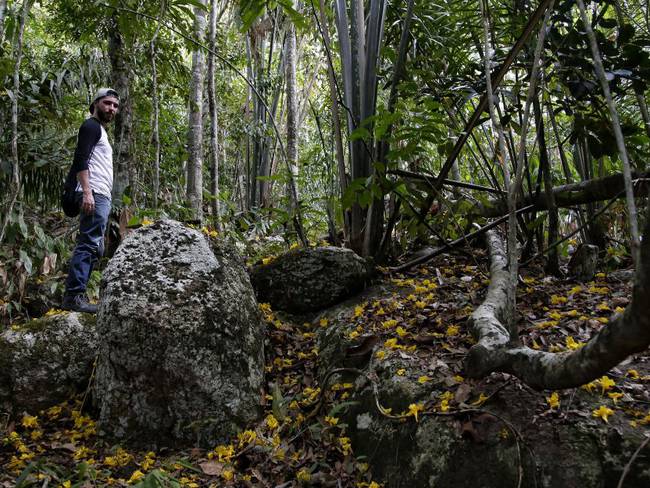 Colombia debe construir una economía de selva