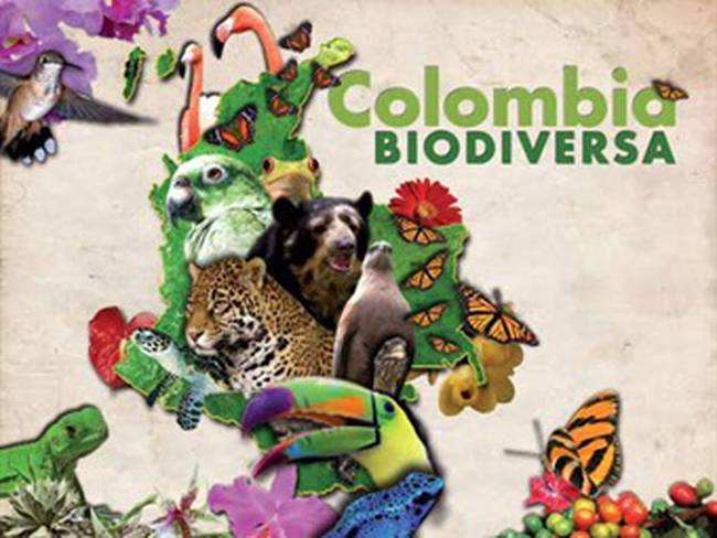 Fundación Natura se pronuncia frente a decadencia de Colombia en temas  ambientales.