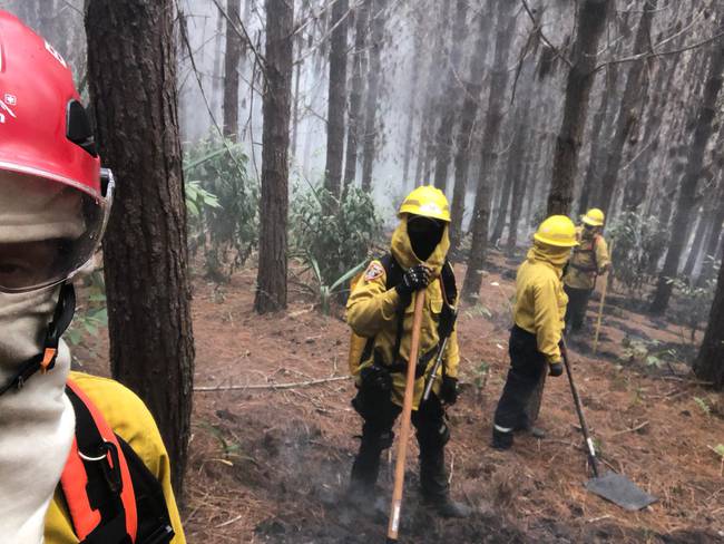 206 hectáreas fueron las afectadas por incendio en zona rural de Dagua