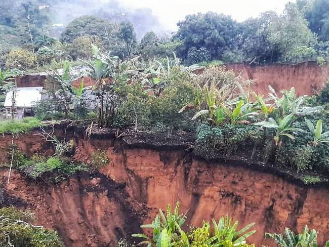 ¿Cómo ha sido el impacto del derrumbe en Rosas para el agro en el Cauca?