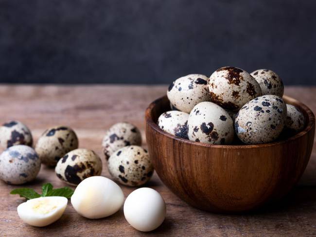 Huevos de codorniz, otro gran emprendimiento en los Montes de María