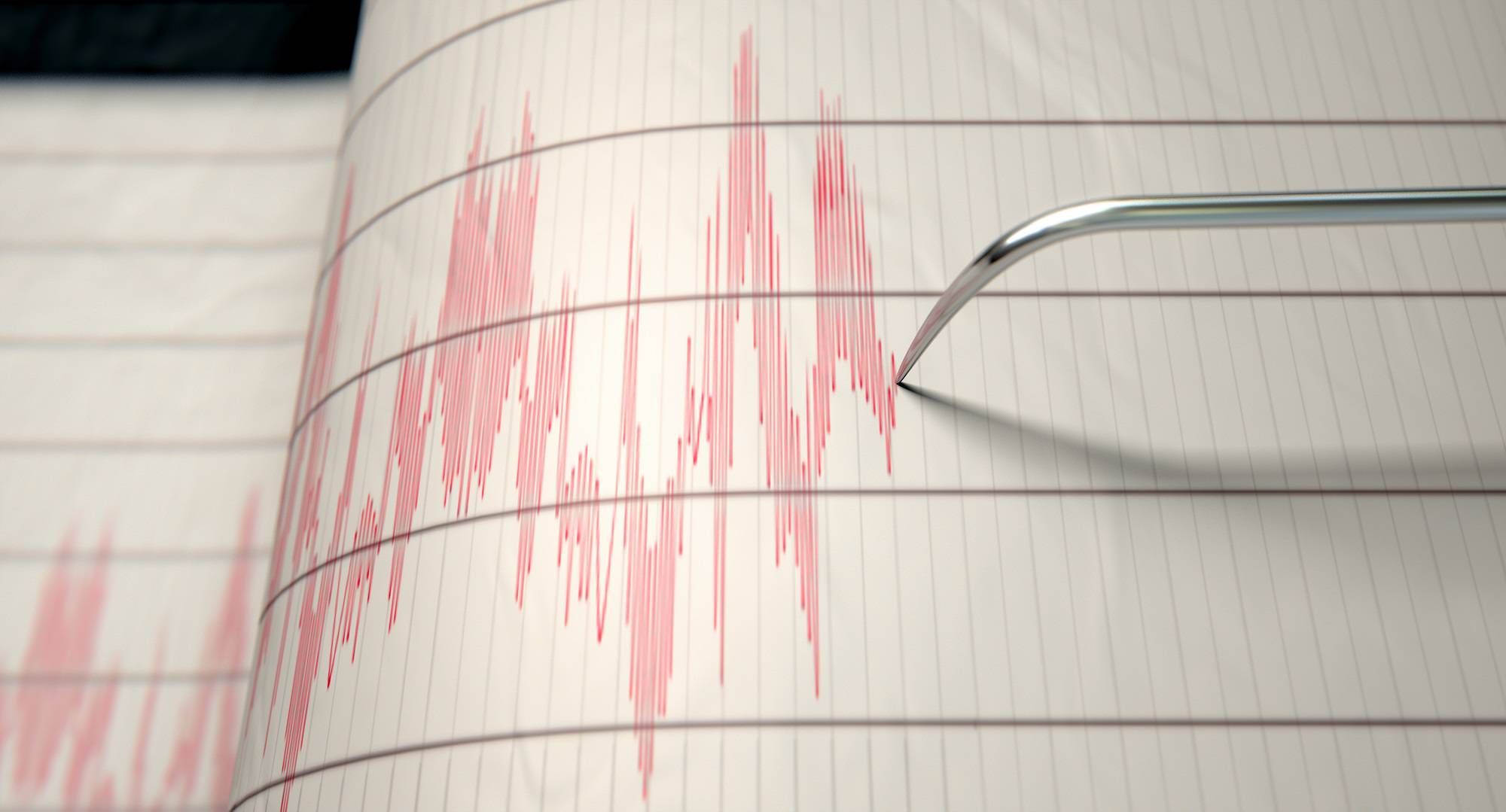 A magnitude 7.3 earthquake struck northern New Zealand