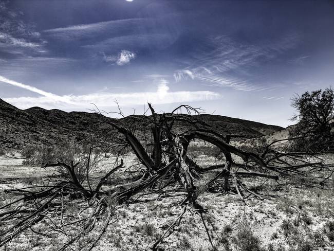 Sequía / Las Vegas, United States / Getty Images