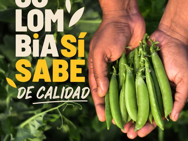 A consumir cereales y leguminosas cultivados en Colombia invita Fenalce