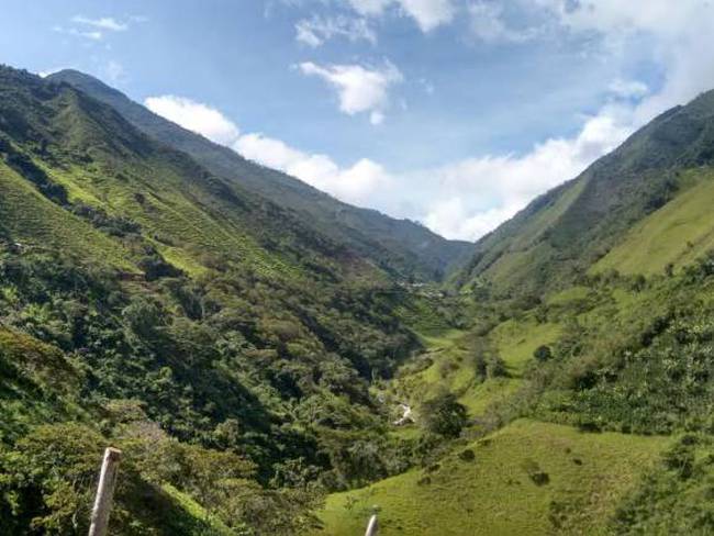 Bandas delincuenciales están ocupando territorio que abandonó las Farc en Antioquia