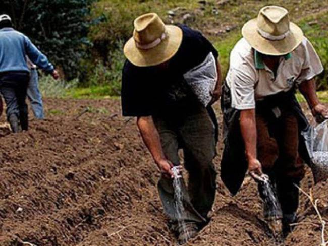 Precios de insumos agrícolas tiene en ‘jaque’ a campesinos del Huila.