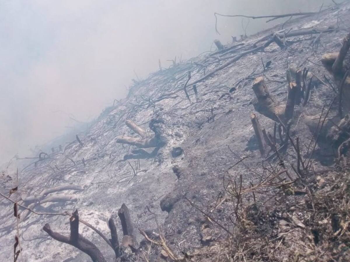 En Ebéjico se preparan para la temporada seca