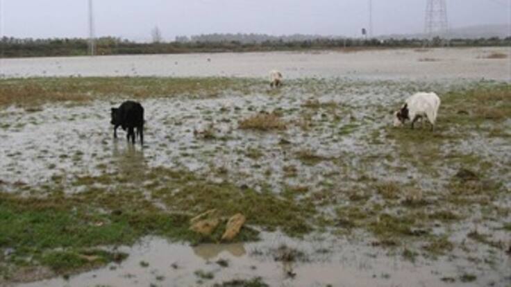 Minagricultura no descarta aumento en el precio de alimentos por el invierno