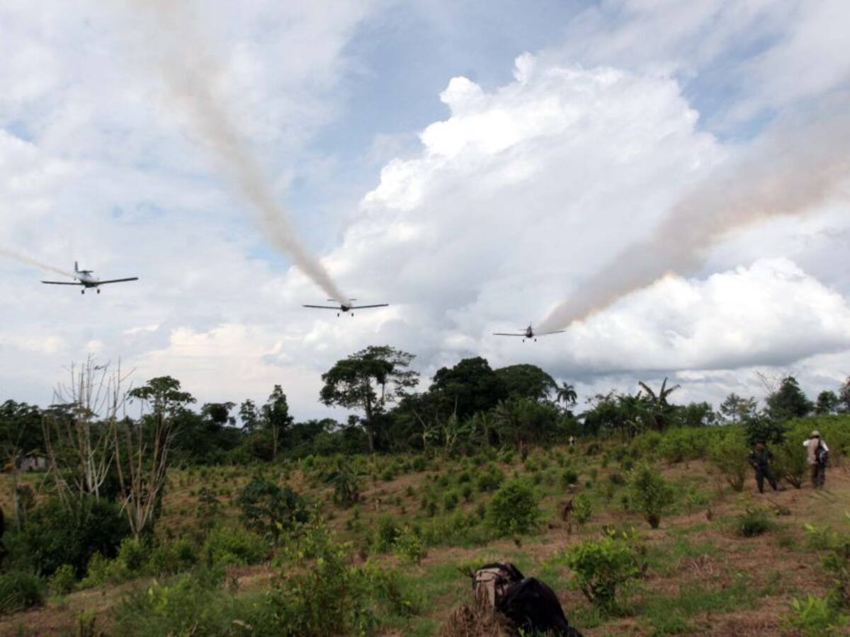 Corte se prepara para revisar tema de Glifosato