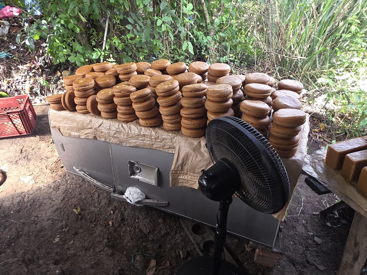 Panela adulterada en Sandoná, autoridades desmantelaron ‘derretideros’ clandestinos