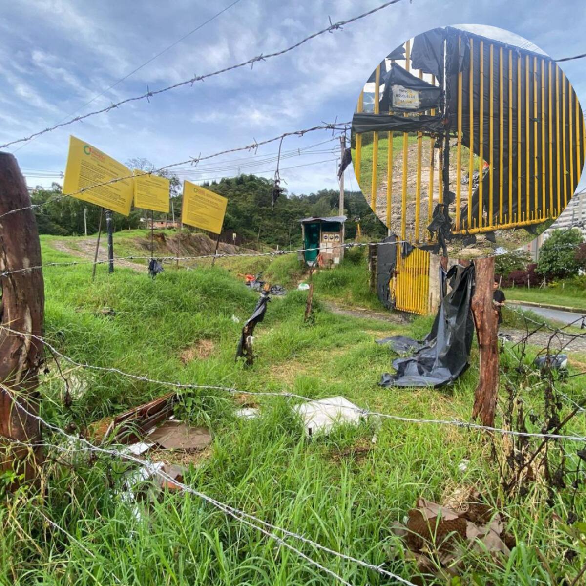 Superfinanciera condenó a fiduciaria por incumplimiento en proyecto “Bosques de La Luz” de Envigado