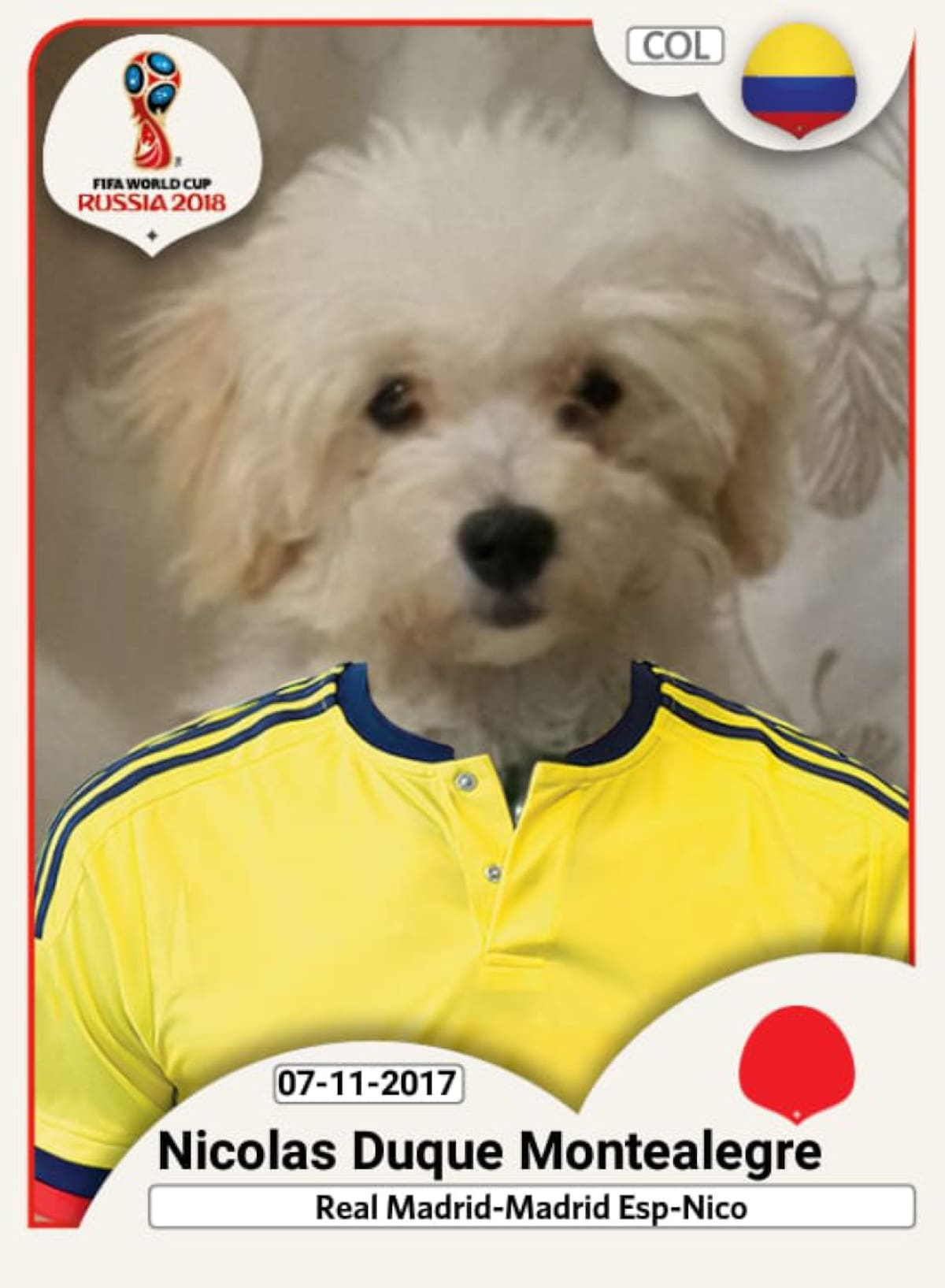 Alejandro Duque nos envía la fotografía de su perro Nicolás 