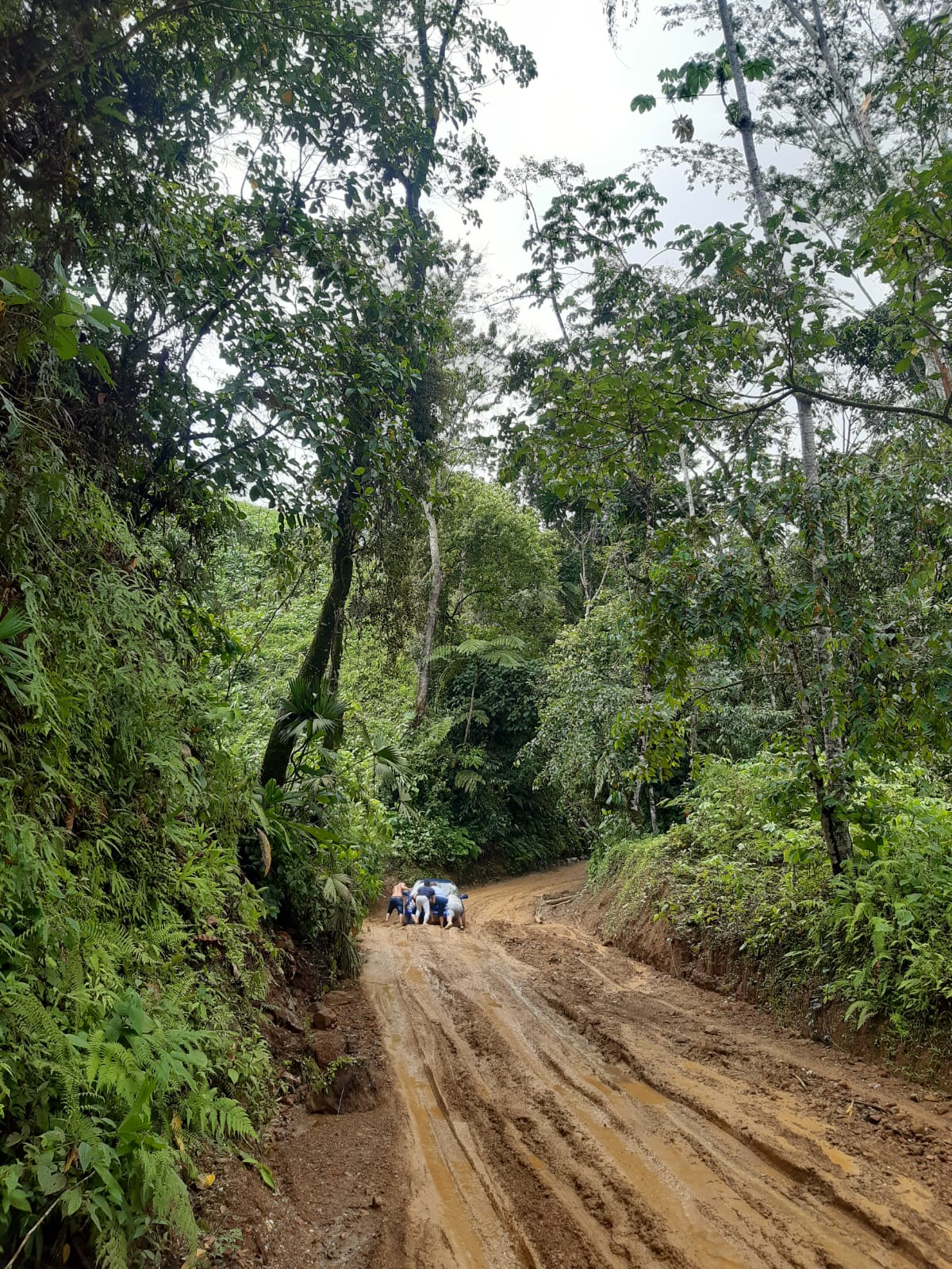 Vía Norcasia - San Diego, oriente de Caldas. Foto suministrada