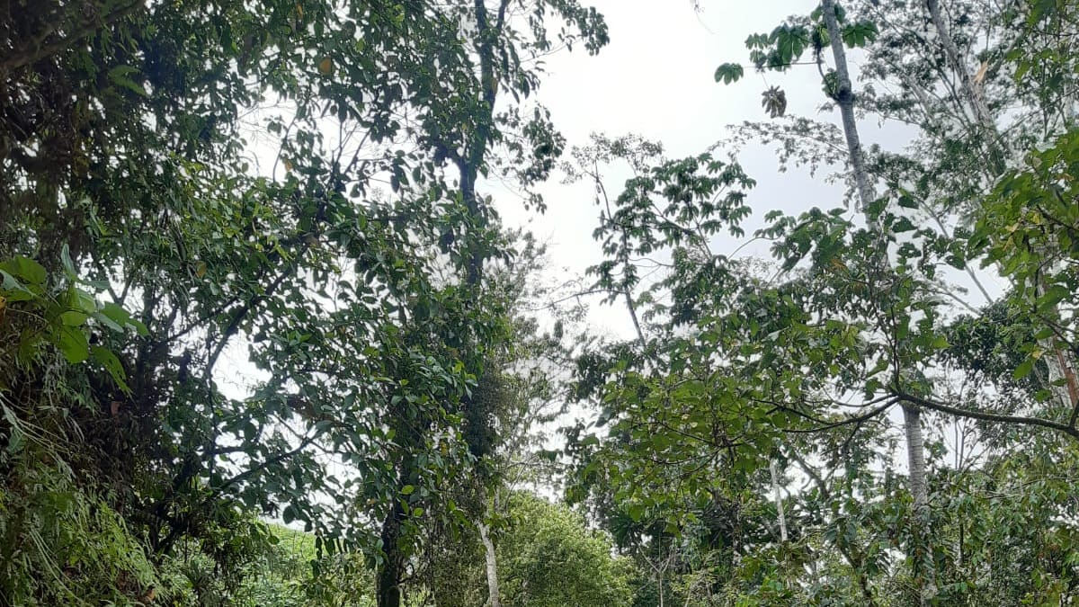 “El turismo está quebrado, la gente cancela los planes para Semana Santa”: líder turístico en Caldas