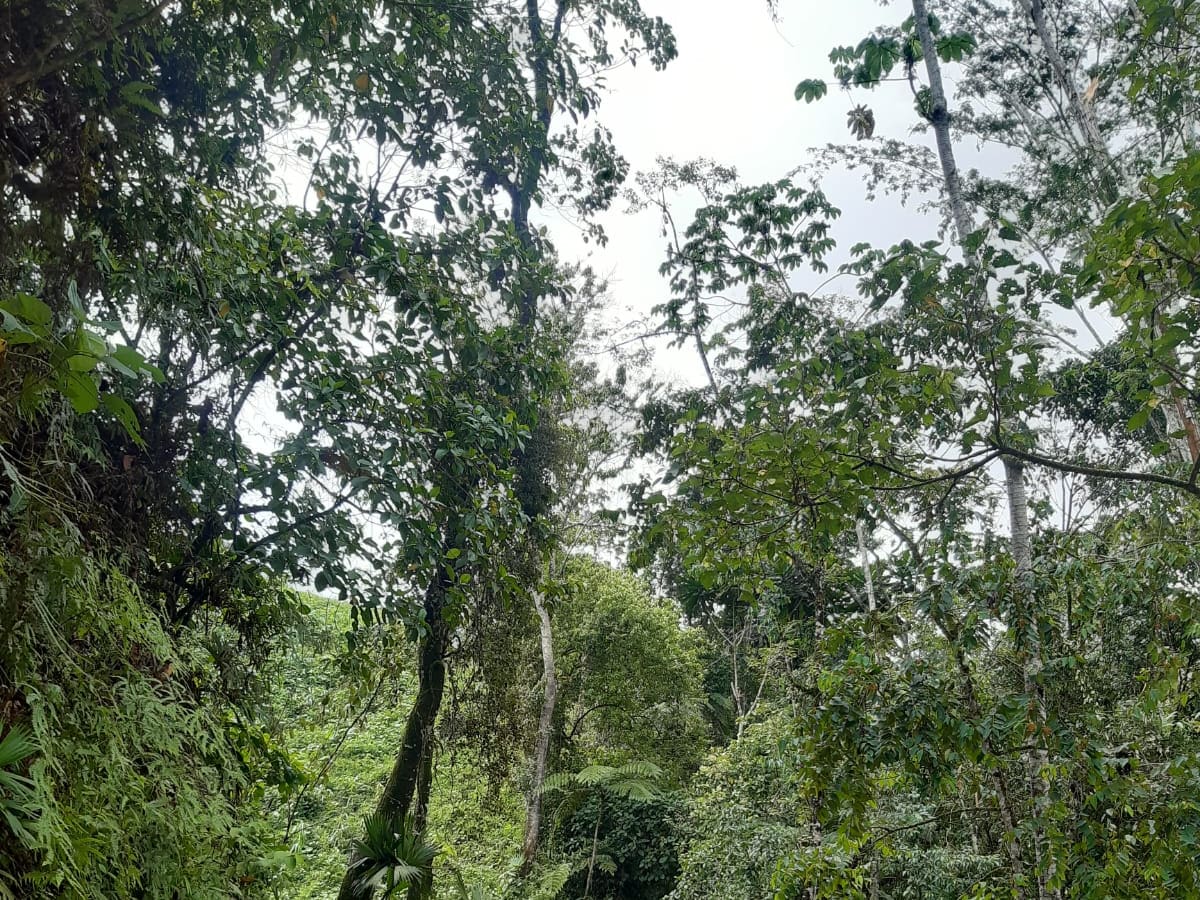 “El turismo está quebrado, la gente cancela los planes para Semana Santa”: líder turístico en Caldas