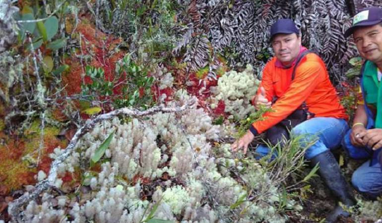 Alcaldía del municipio de Teruel Huila