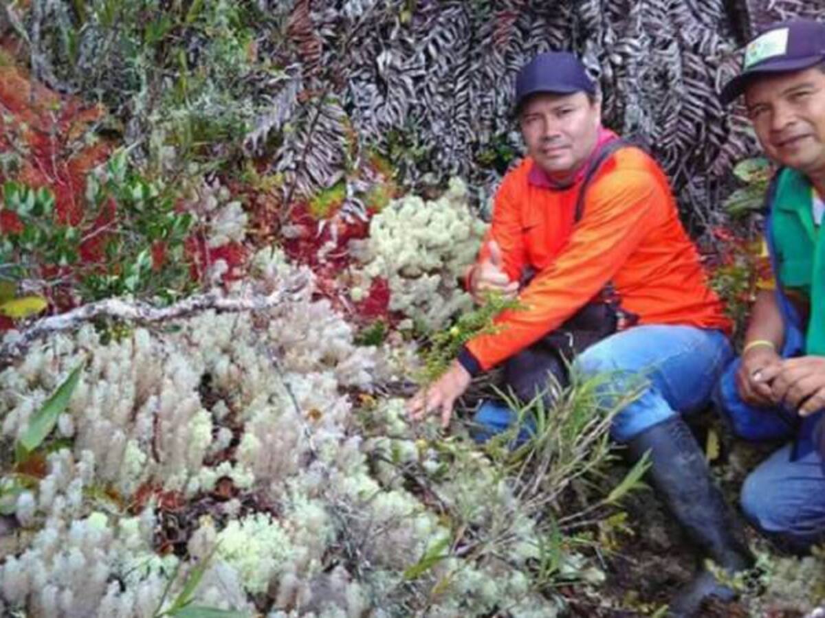 Descubren un nuevo paraíso turístico en Huila
