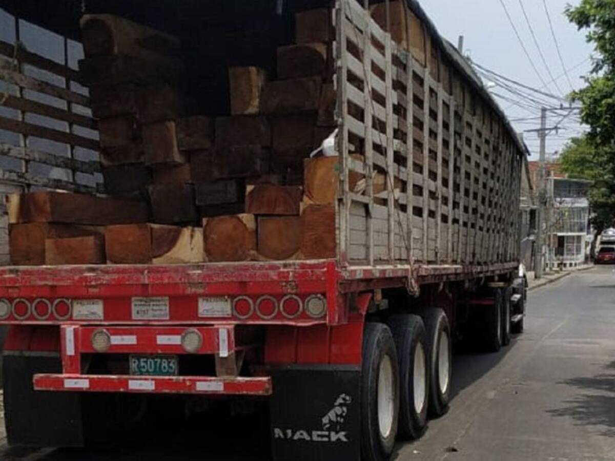 EPA Cartagena extrema vigilancia contra el tráfico de madera