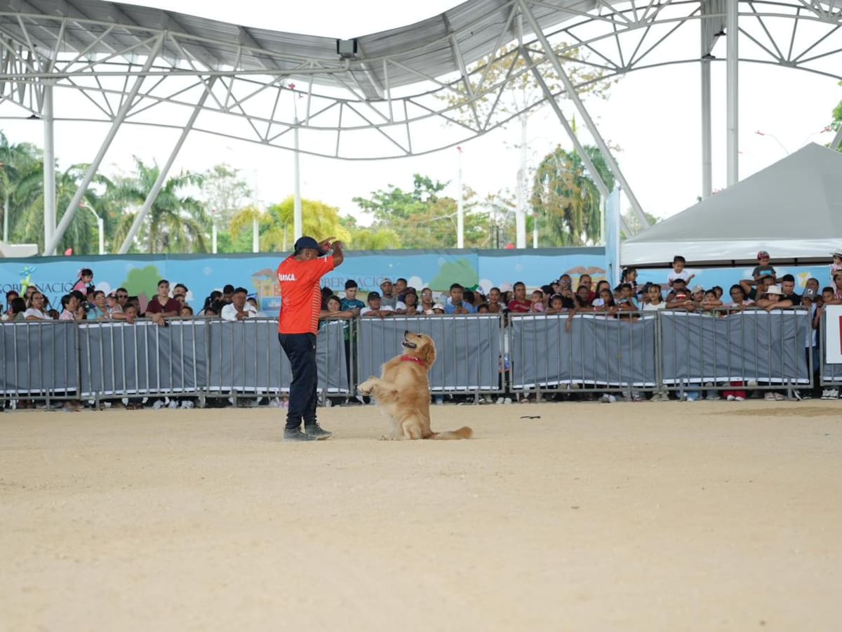 Últimos días de Panaca Viajero en Arjona- Bolívar: habrá presentaciones hasta el domingo