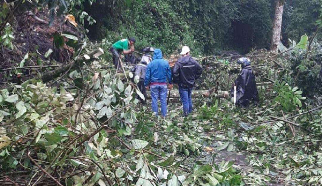 Foto: Enviada desde la Secretaría de Medio Ambiente de Caldas.