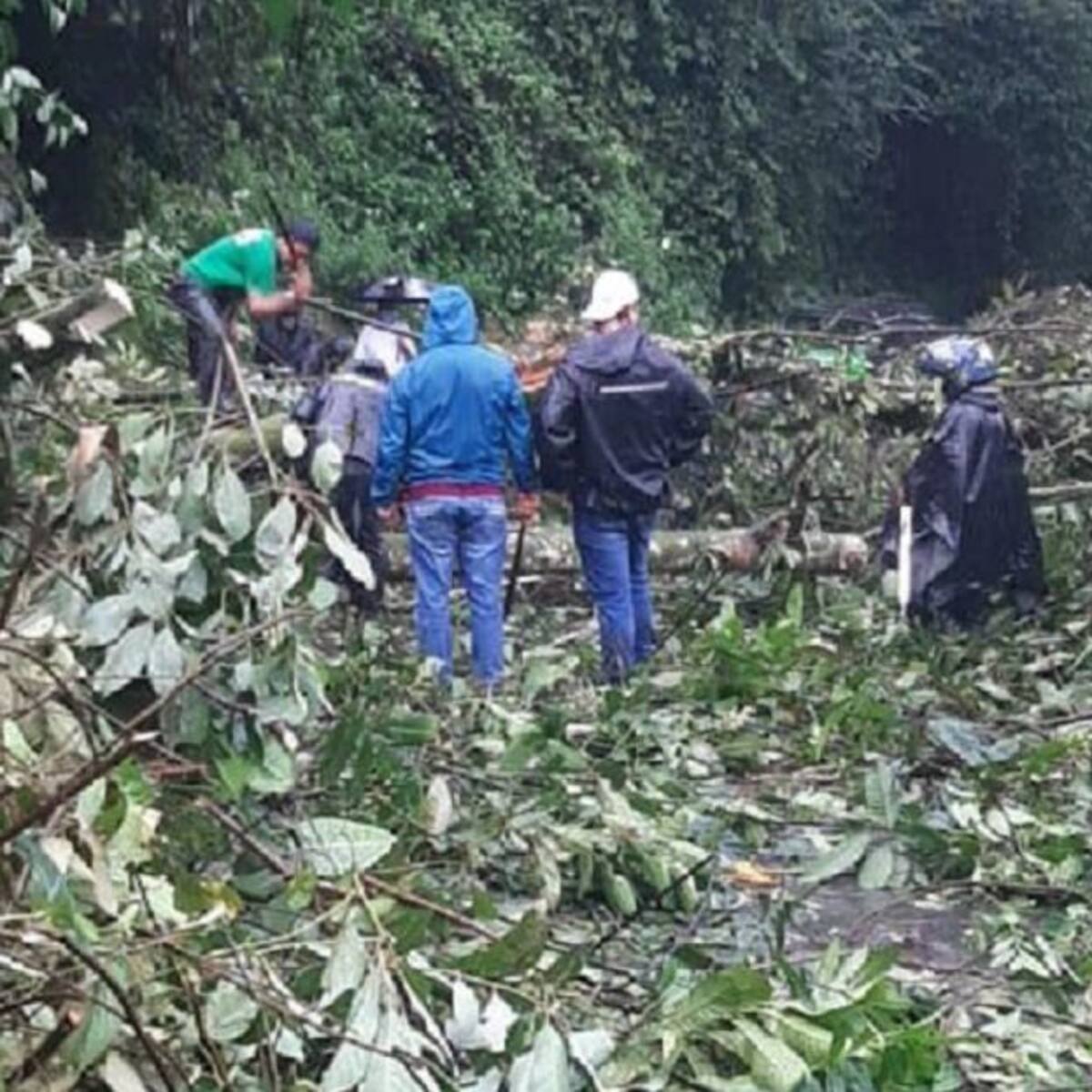Algunas vías del norte de Caldas están cerradas por las fuertes lluvias