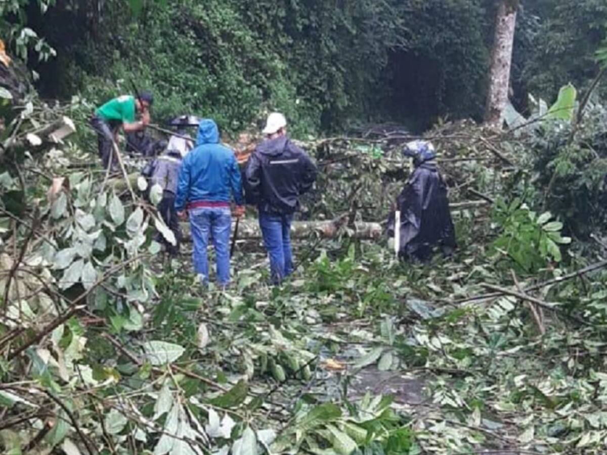 Algunas vías del norte de Caldas están cerradas por las fuertes lluvias