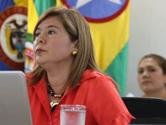 Reporte de la oficina de Control Interno sobre el PAE de Bucaramanga