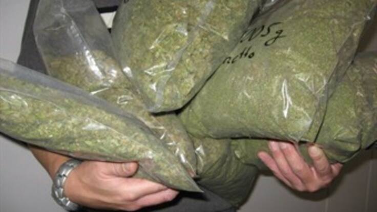 Vecinos del Guatiquía recuperan marihuana lanzada al río para destruirla