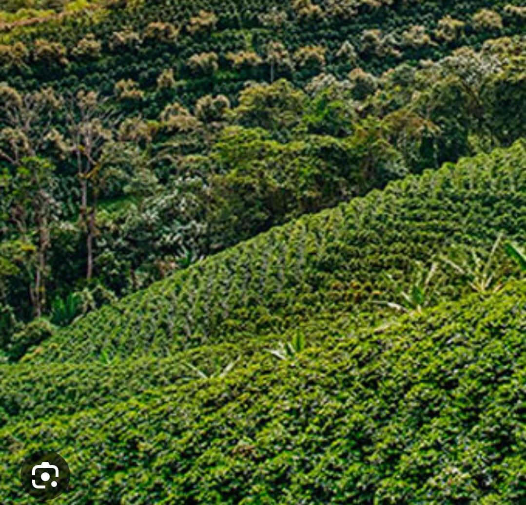 La visita presidencial estará enfocada en  cuatro mesas temáticas.