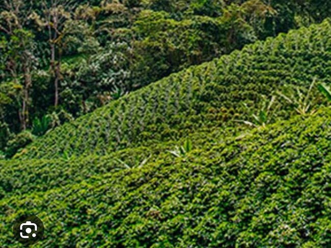 La visita presidencial estará enfocada en cuatro mesas temáticas.