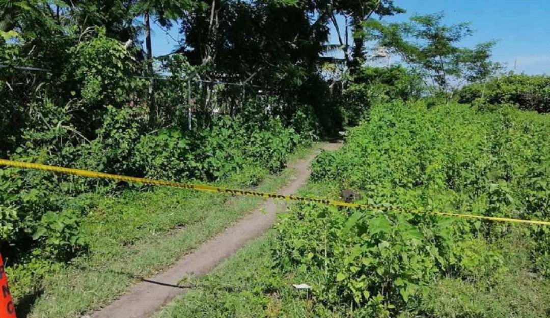 Homicidios en Chaparra - Tolima