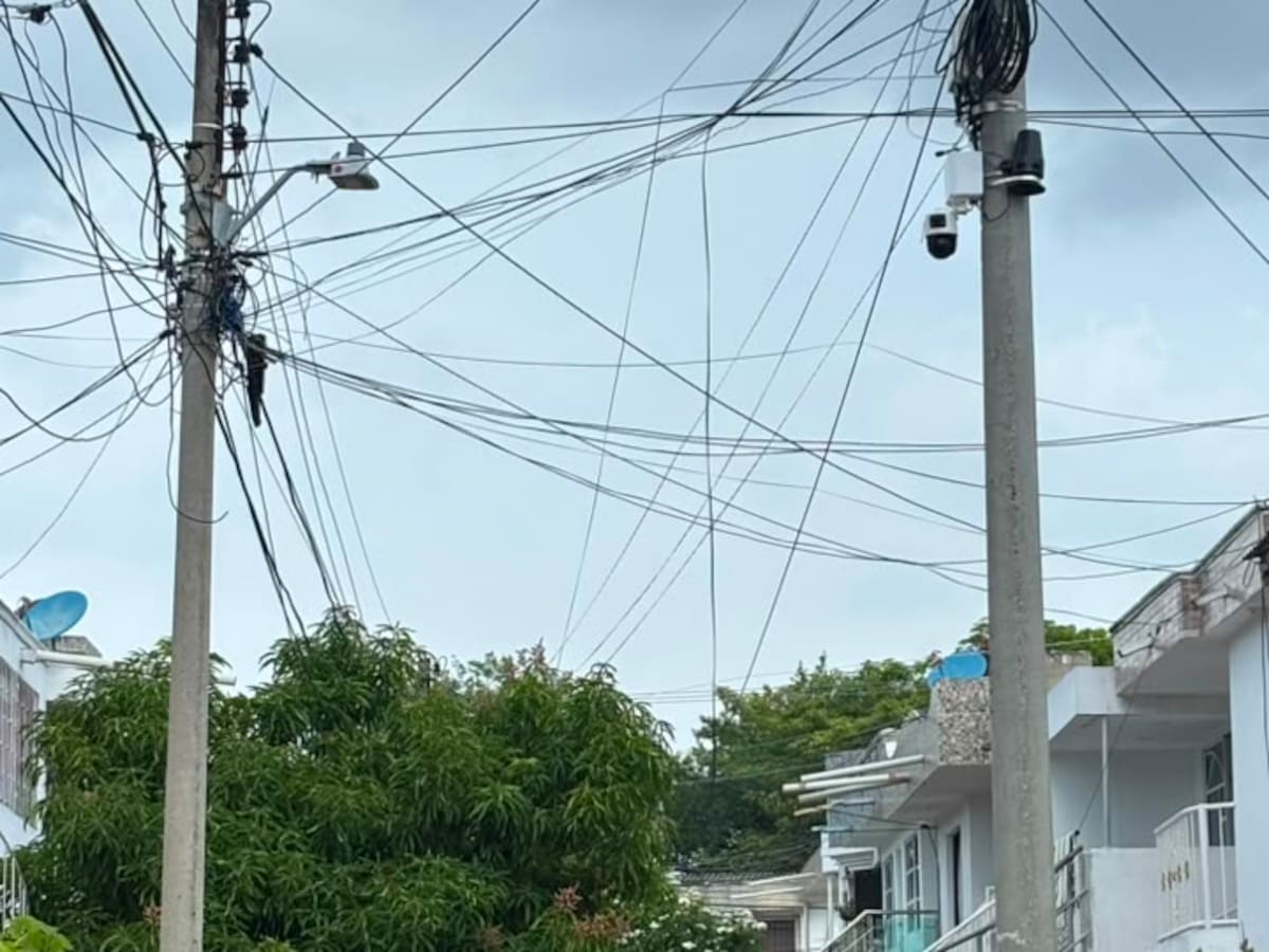 Un sistema comunitario de cámaras y alarmas disminuye los delitos en el barrio Los Jardines