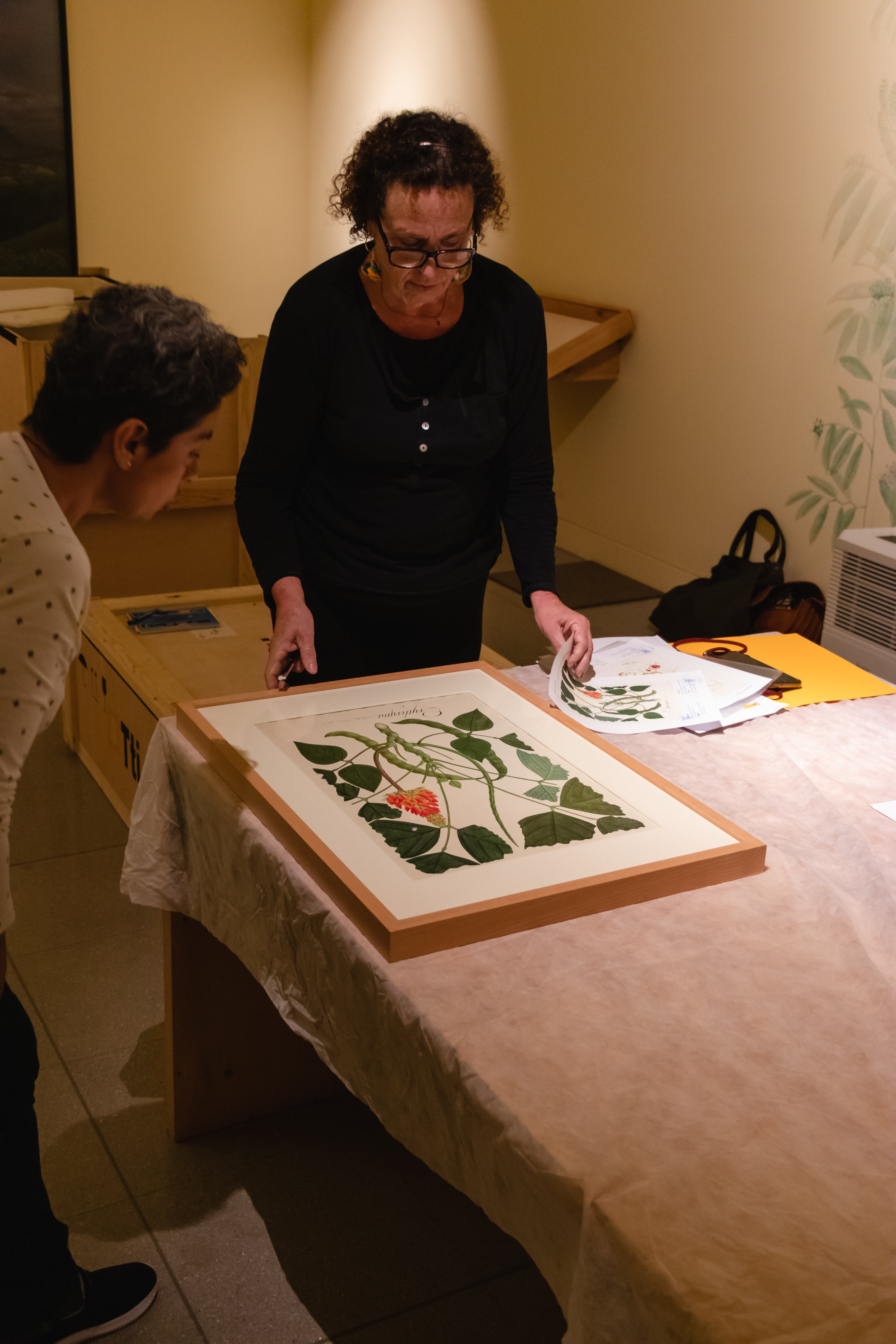 Cortesía Museo de Antioquia