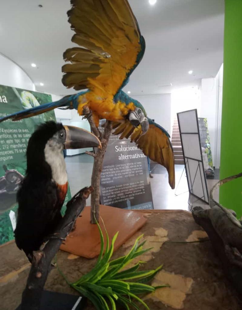 Imagen de exhibición del museo en Tenjo.