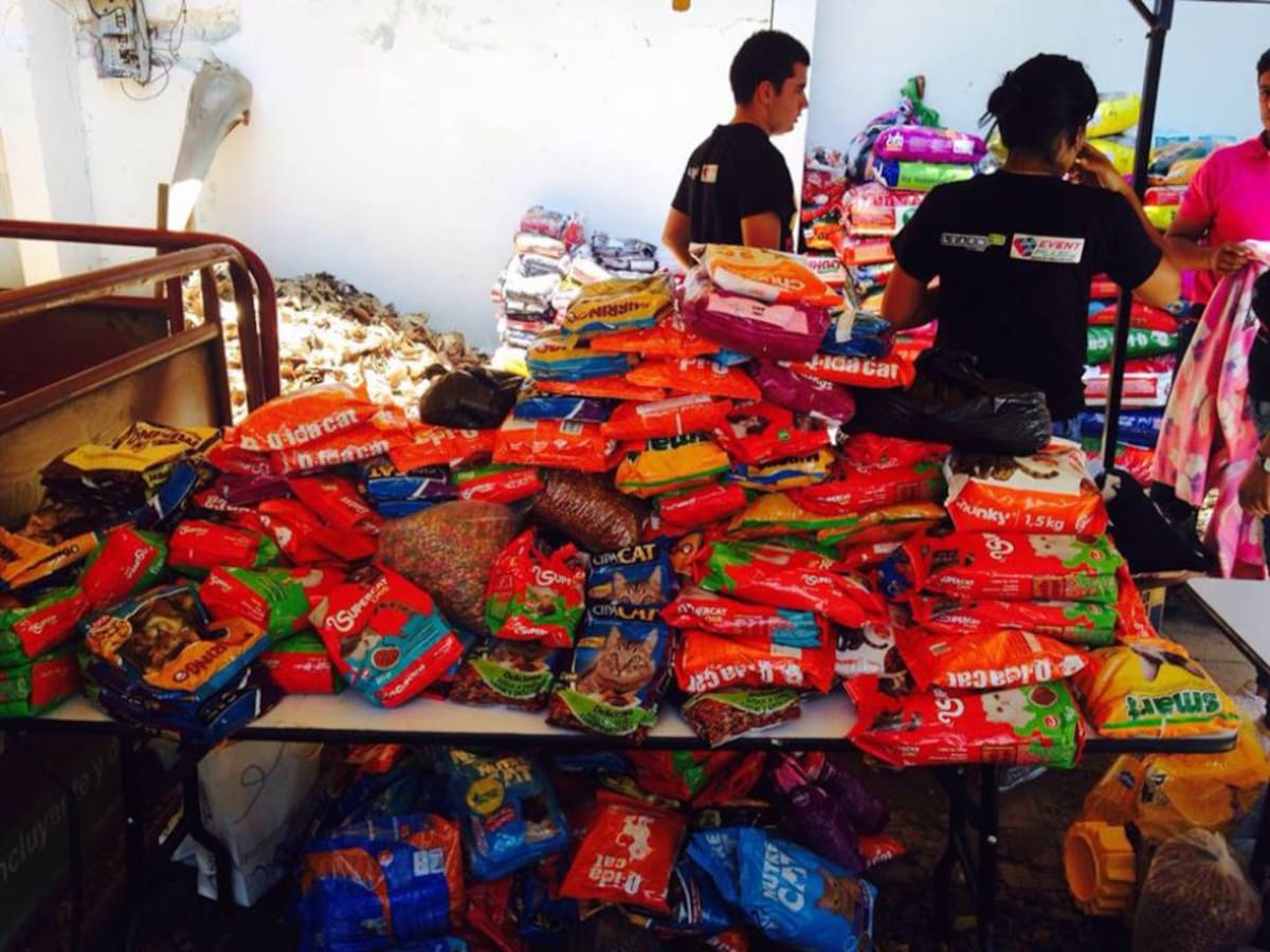 Banco de Alimentos de Colombia considera inconveniente la ley que prohíbe donación de ultraprocesados