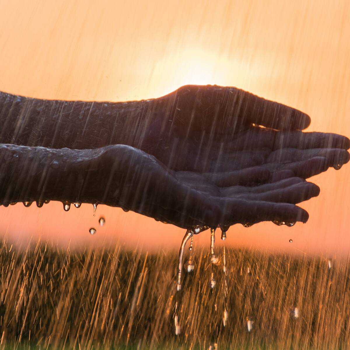 ¿Por qué hay sequía y lluvia al mismo tiempo en Bogotá? Esto dice experto
