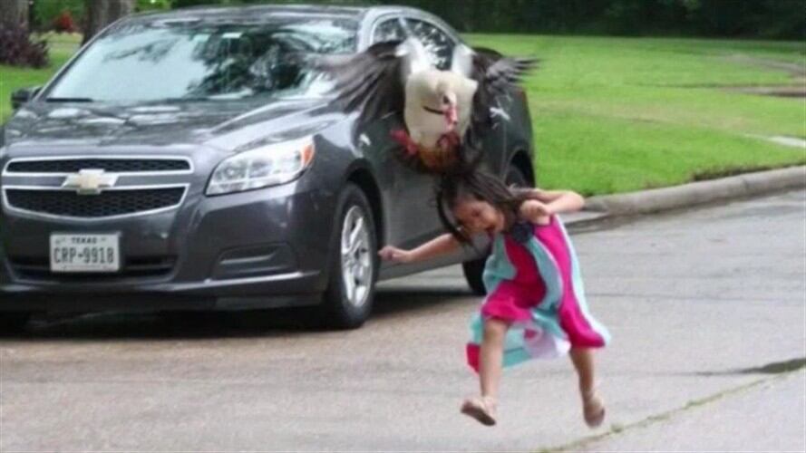 Niña es atacada por un ganso. Foto: en Twitter: @LucyRey3s