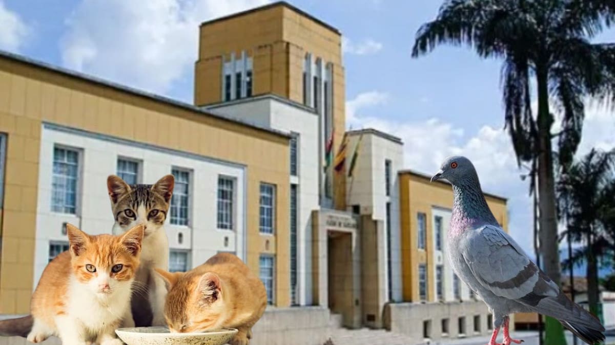 Camilo Machado, concejal de Bucaramanga