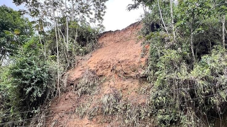 Henry Molano, Ingeniero Forestal, CRQ, Quindío