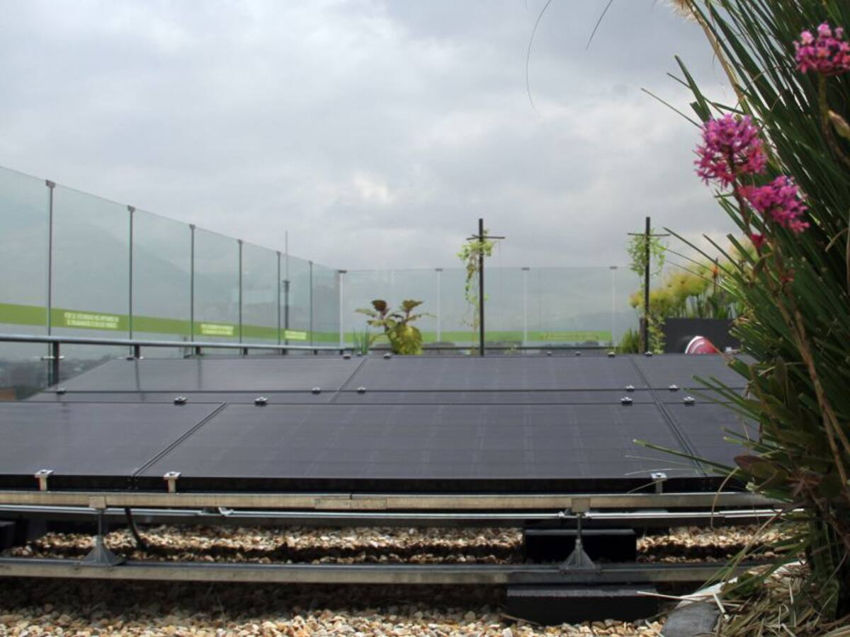 CamComercio Cartagena e Invest In le apuestan a energías renovables