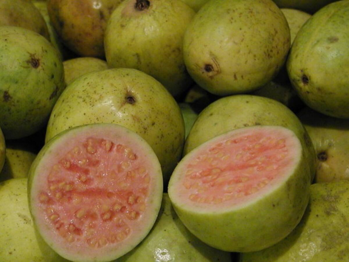 Conservar las frutas ahora es más fácil