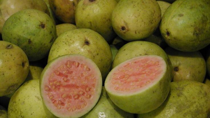 Conservar las frutas ahora es más fácil