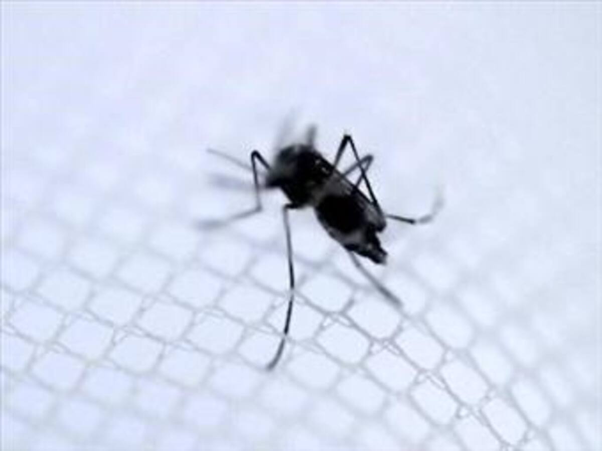 En Santa Marta un barrio entero tiene el virus de Chikungunya