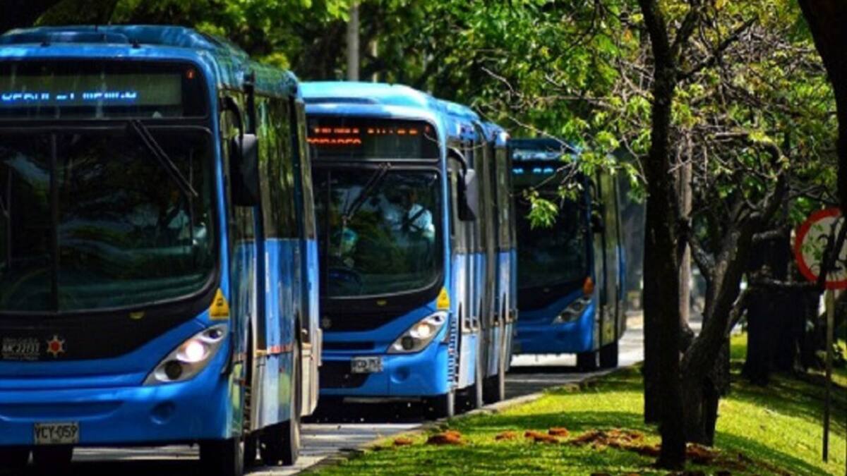 Reinician 5 rutas del MIO en el Oriente y 10 más en sur y centro de Cali