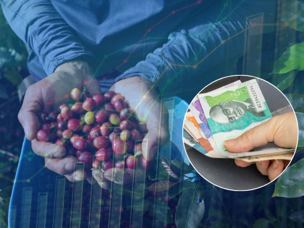 Precio del café HOY en dólares: Expertos analizan el precio de la carga en Colombia