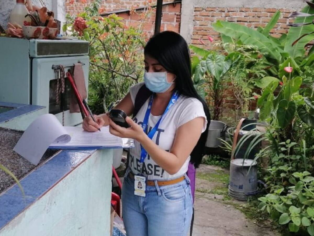 Disminuyen casos de dengue en Ibagué