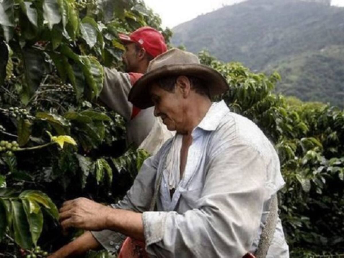 La nueva crisis del café