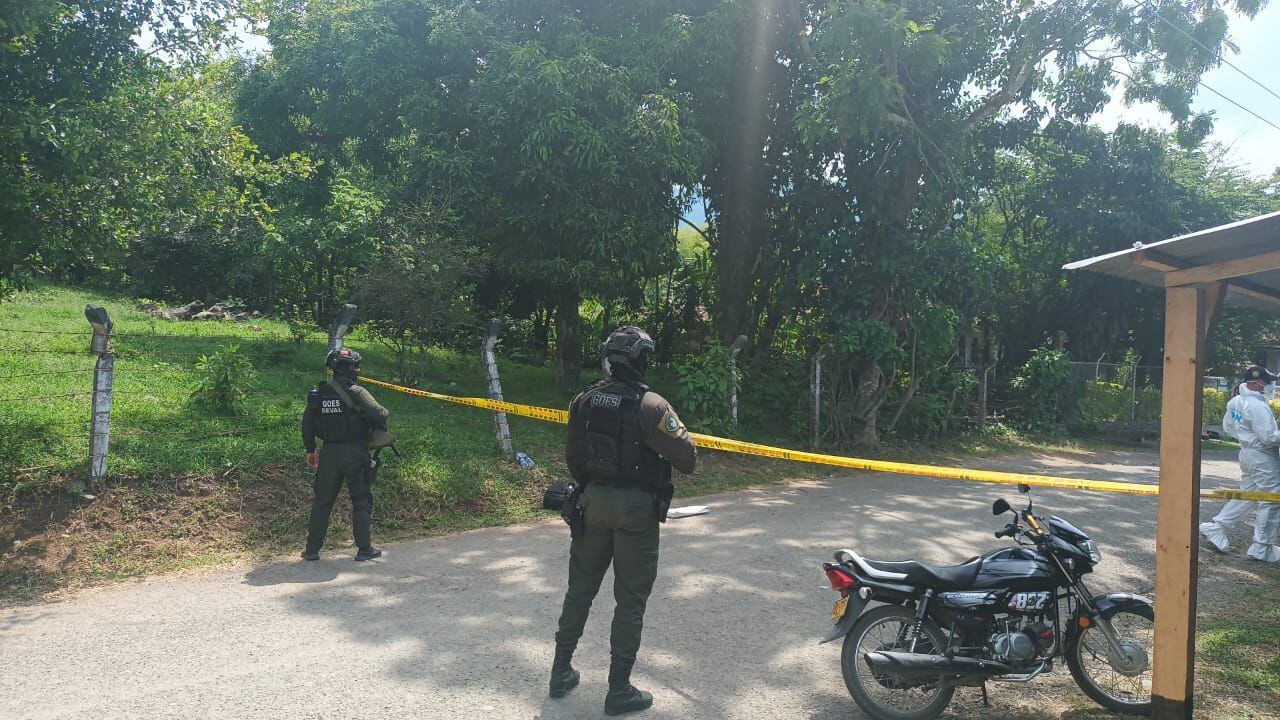 Imagen de referencia